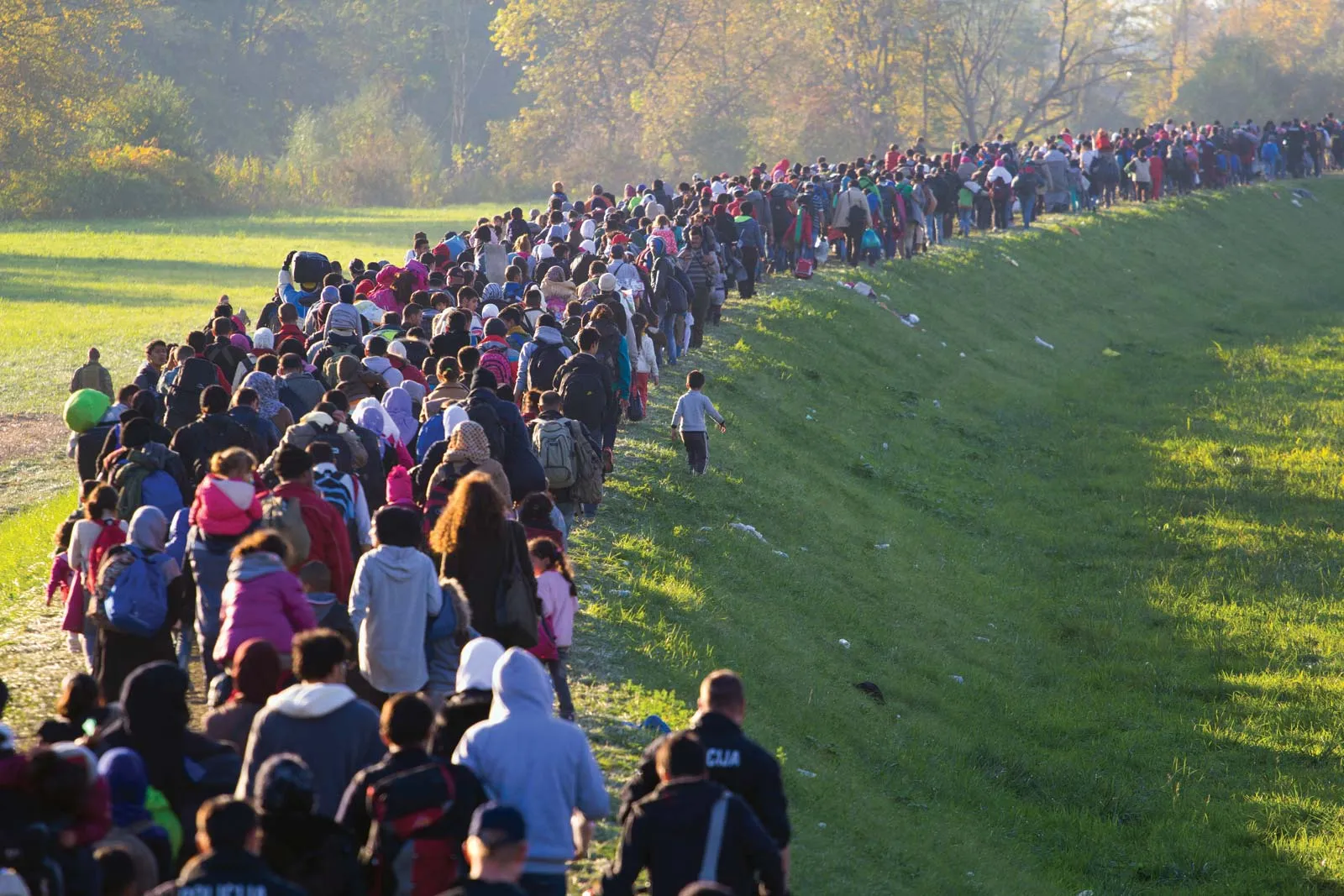Global Refugee Crisis: How Countries Are Responding to Mass Displacement