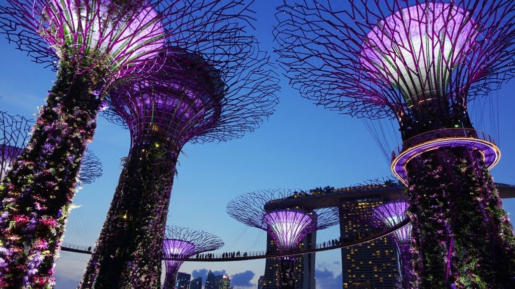 Smart Cities and the Human Experience: Technology Beyond the Hype